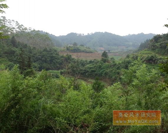 莫亚师父送莲花风水宝地